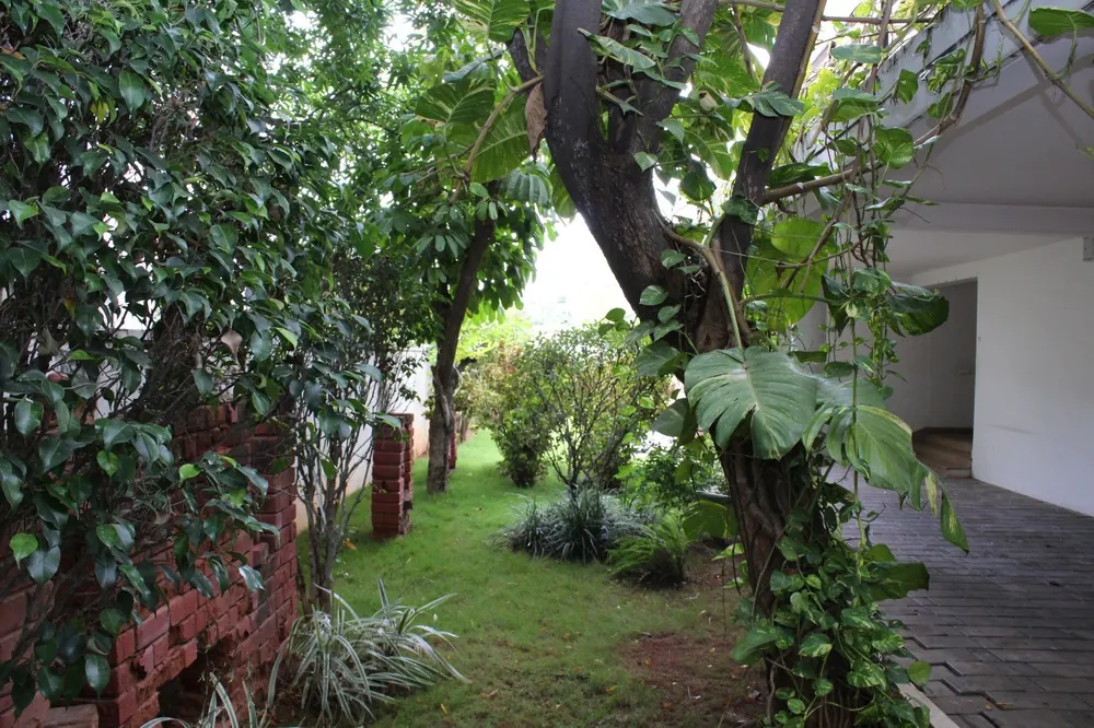 Shaded garden walk with fruit trees along the villa's brick compound wall
